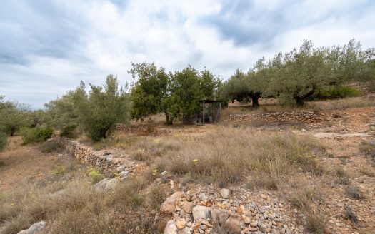 Vistas del valle del río Ebro (906)