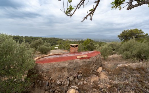 Vistas del valle del río Ebro (906)