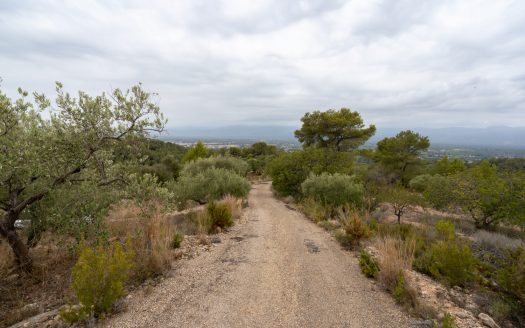 Vistas del valle del río Ebro (906)