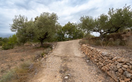 Vistas del valle del río Ebro (906)