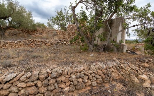 Vistas del valle del río Ebro (906)