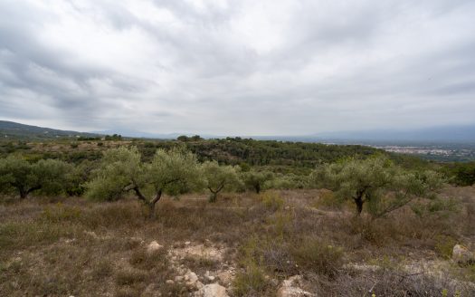 Vistas del valle del río Ebro (906)