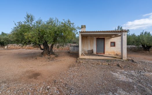 A farmhouse with water and electricity (908)