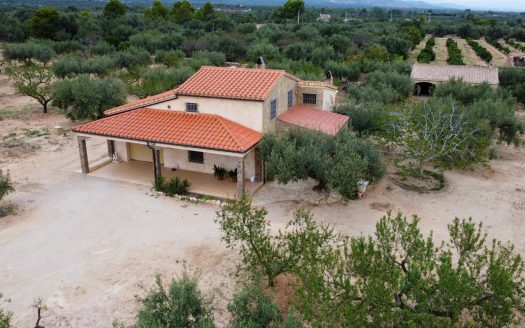 A house in the countryside (939)