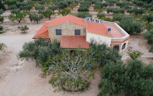 A house in the countryside (939)