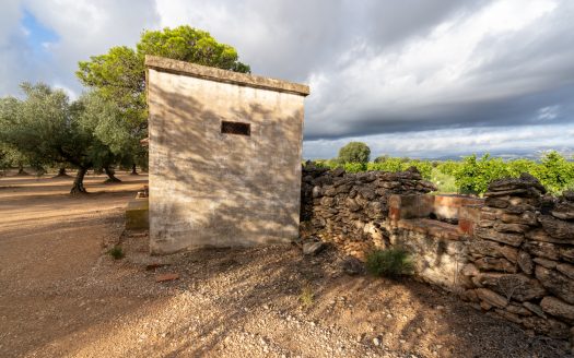 Agua de riego y buen acceso (932)