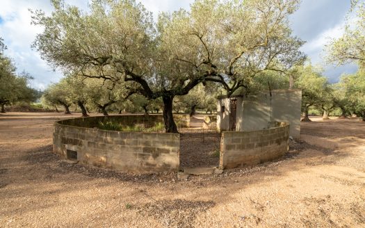 Agua de riego y buen acceso (932)