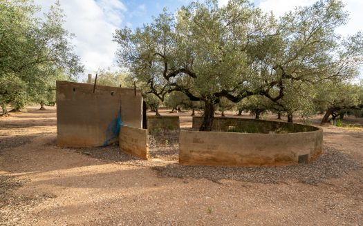 Agua de riego y buen acceso (932)