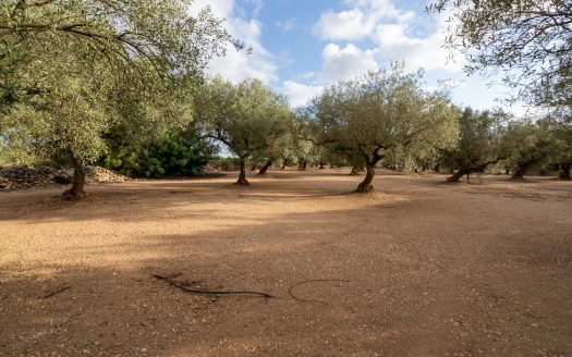 Agua de riego y buen acceso (932)