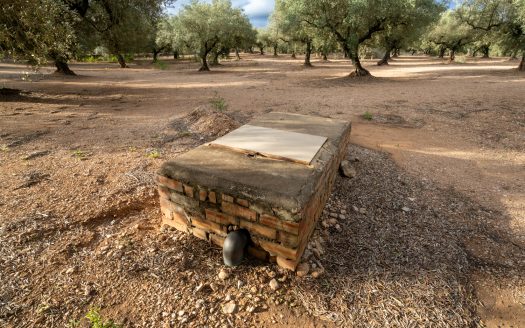 Agua de riego y buen acceso (932)