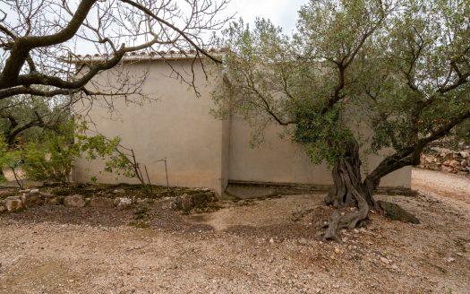 Country house near the mountains (933)