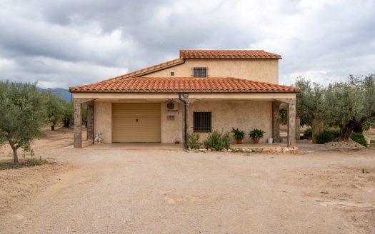 A house in the countryside (939)