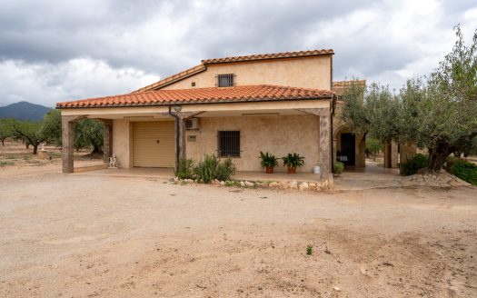 A house in the countryside (939)