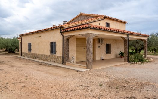 A house in the countryside (939)