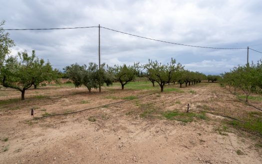 A house in the countryside (939)