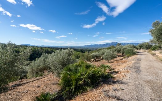 Agua de riego y bonitas vistas (957)