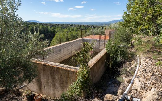 Irrigation water with a nice view (957)