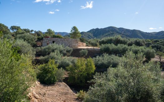 Agua de riego y bonitas vistas (957)