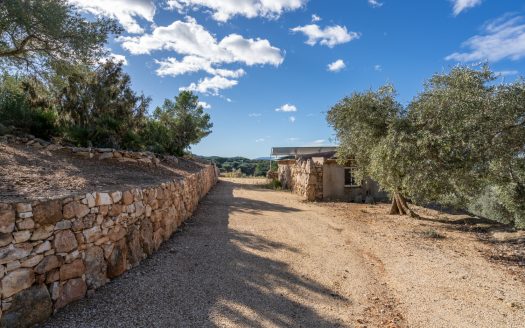 Agua de riego y bonitas vistas (957)