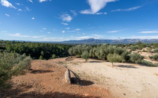 Irrigation water with a nice view (957)