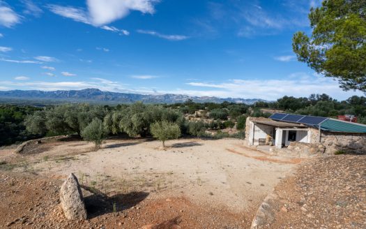 Agua de riego y bonitas vistas (957)