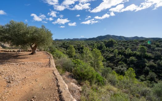 Agua de riego y bonitas vistas (957)