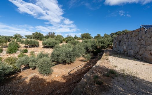 Irrigation water with a nice view (957)