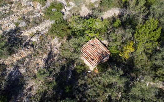 El paisaje de la montaña (966)