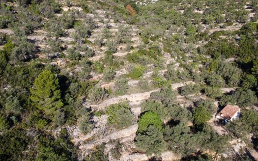 El paisaje de la montaña (966)