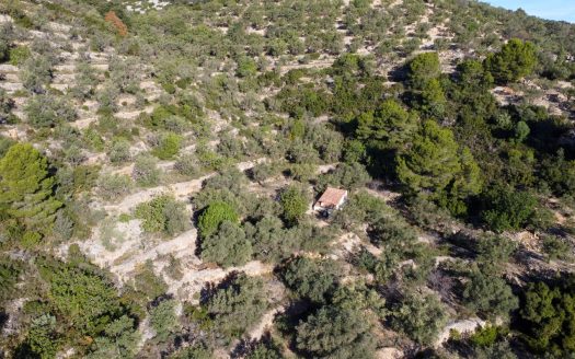 El paisaje de la montaña (966)