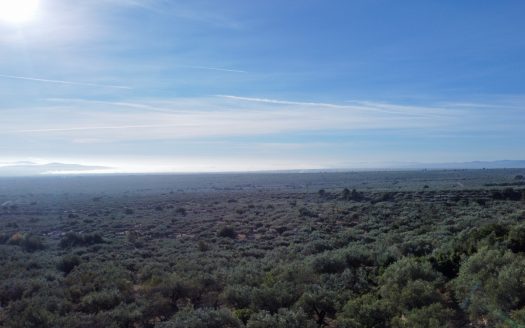 El paisaje de la montaña (966)