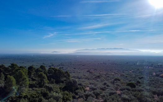 El paisaje de la montaña (966)