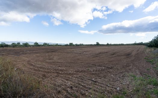 Finca amb gran magatzem i aigua de pou (963)