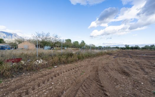 Finca amb gran magatzem i aigua de pou (963)