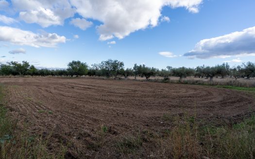 Finca amb gran magatzem i aigua de pou (963)