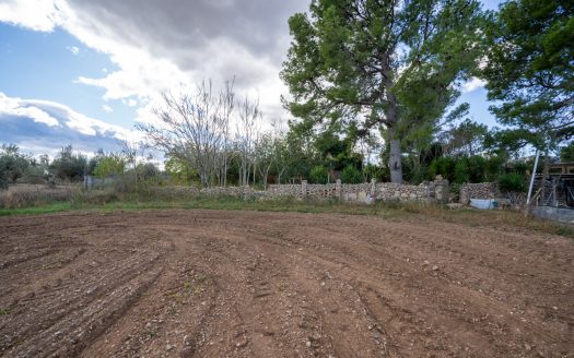 Finca amb gran magatzem i aigua de pou (963)