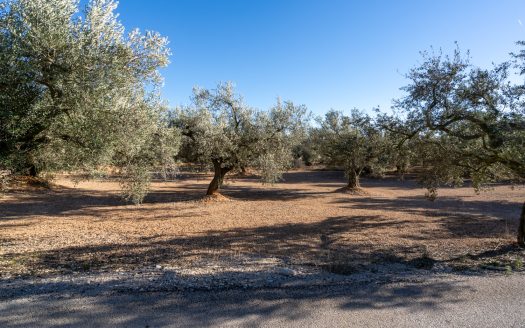 Pequeña finca con buen acceso (983)