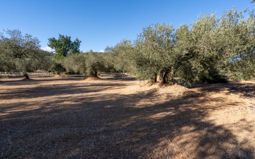 Pequeña finca con buen acceso (983)