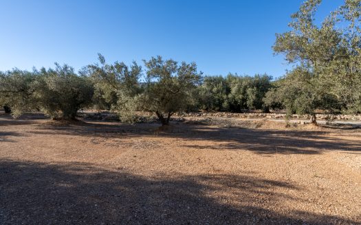 Pequeña finca con buen acceso (983)