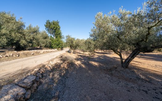 Pequeña finca con buen acceso (983)