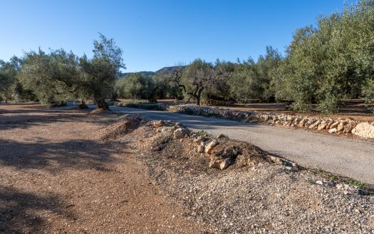 Pequeña finca con buen acceso (983)