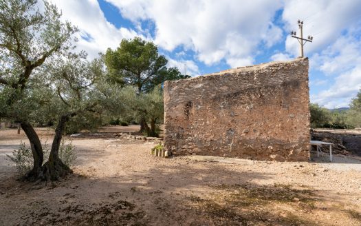 Per aquells que ho volen tot (990)