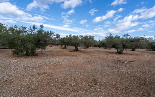 Per aquells que ho volen tot (990)