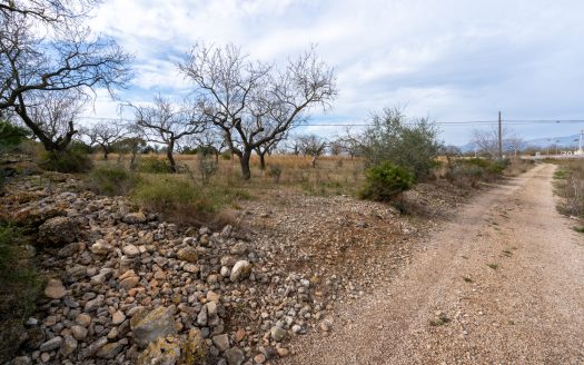 Finca con posibilidad de tener agua (13)