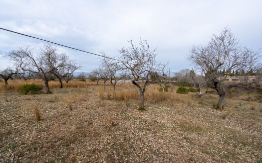 Finca con posibilidad de tener agua (13)