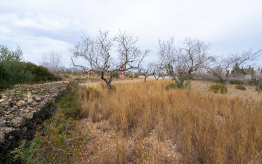 Finca con posibilidad de tener agua (13)