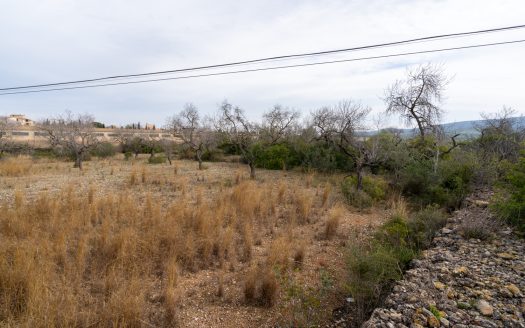 Finca con posibilidad de tener agua (13)