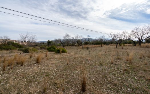 Finca con posibilidad de tener agua (13)