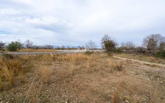 Finca con posibilidad de tener agua (13)