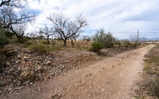 Finca con posibilidad de tener agua (13)